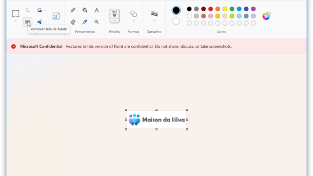Remoção de plano de fundo no Paint